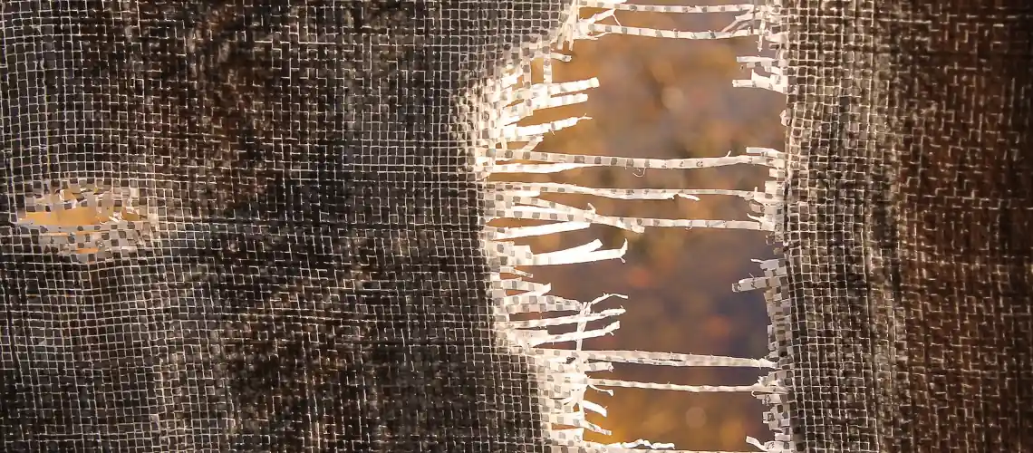 Истинный Свидетель : Грех