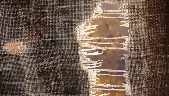 Истинный Свидетель : Грех